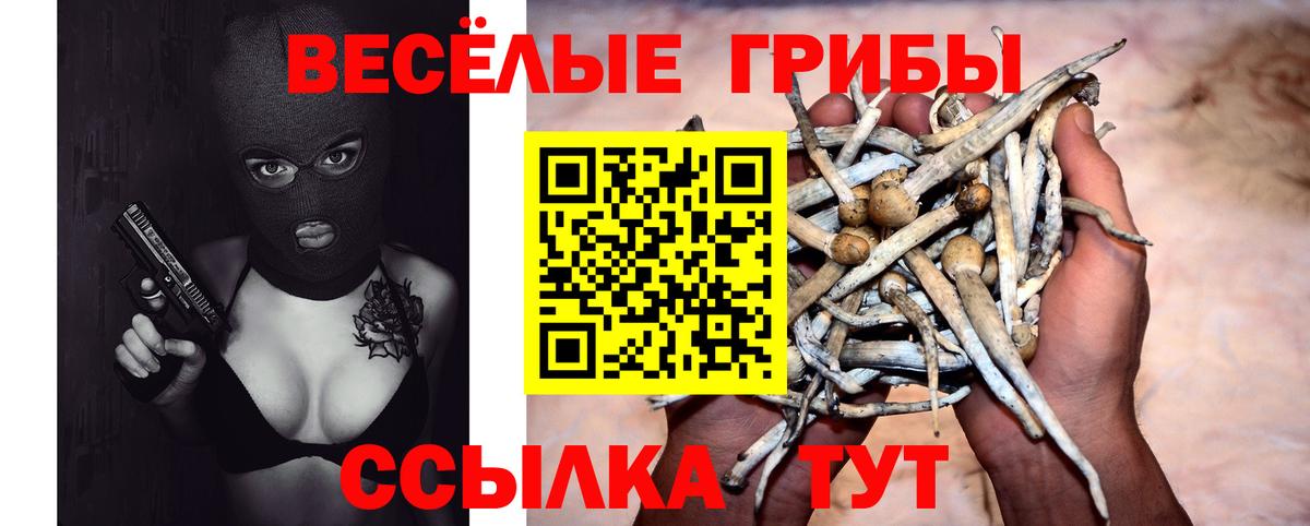 Галлюциногенные грибы Psilocybe Чайковский