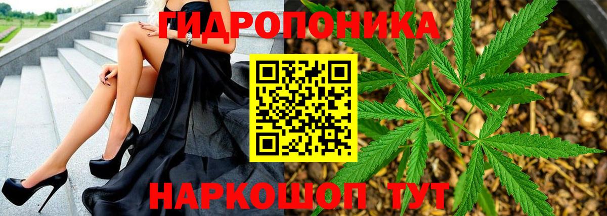 Марихуана конопля Чайковский
